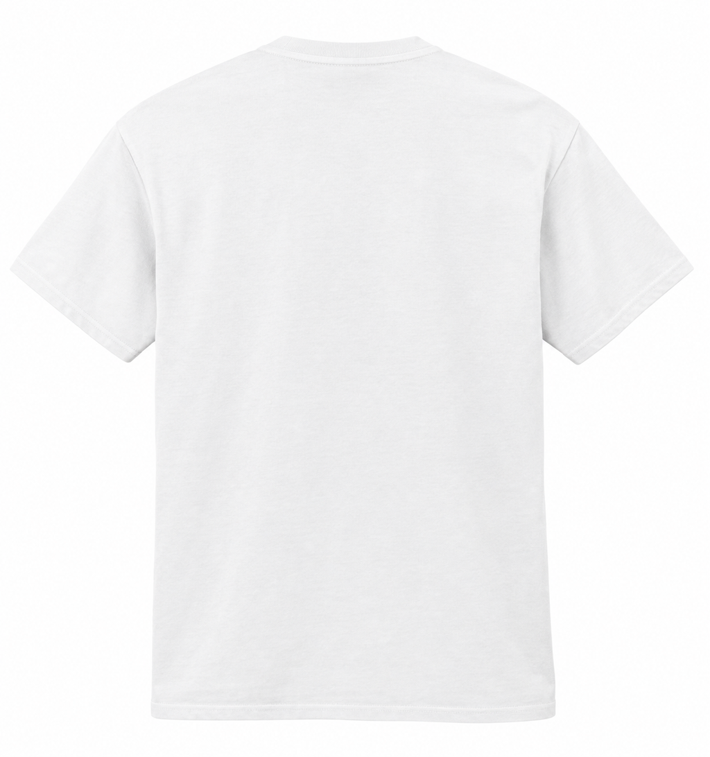 I Went Outside Today Funny Cat Adult T-Shirt