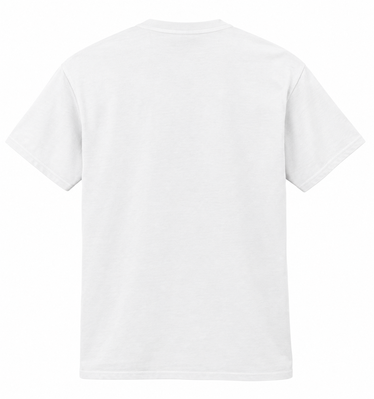 I Went Outside Today Funny Cat Adult T-Shirt